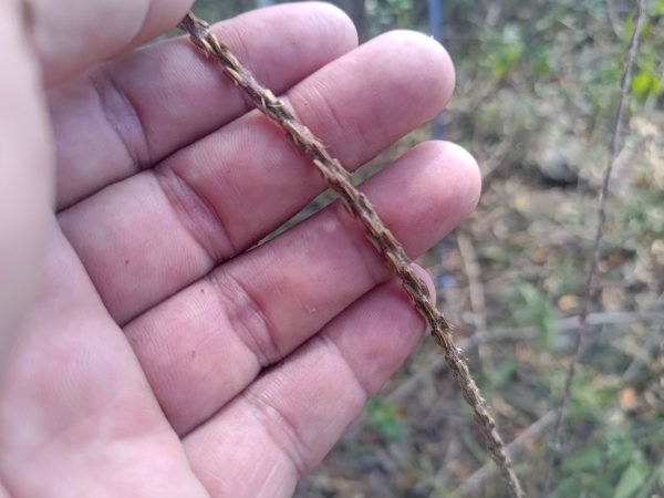 盆貿里山三盆連走2749548