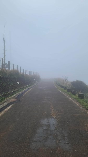 2026-0116 大屯三山_貴子坑_北投2984844