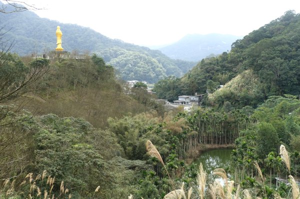觀音台 水柳腳登山步道3085158