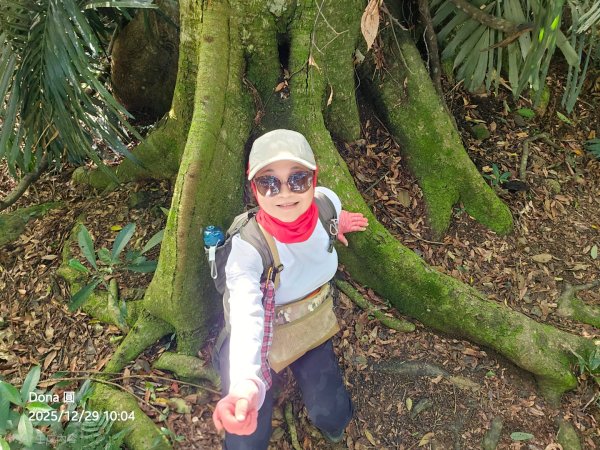 20251229石龜坑山上白石山下白石埤O走+阿姆坪2976659