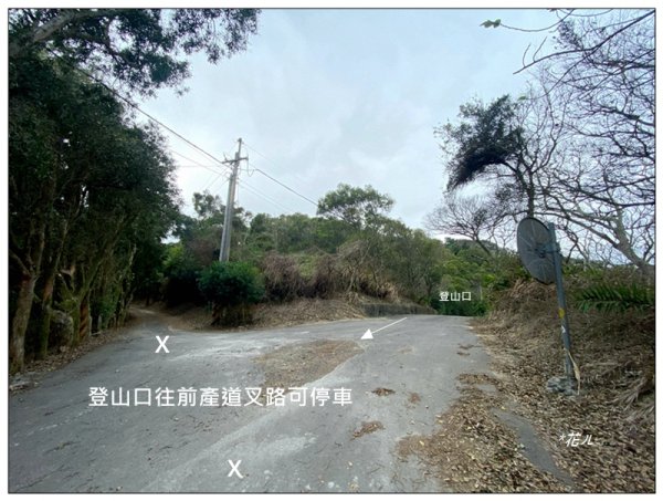 公司寮山 ( 苗栗、後龍 )3006160