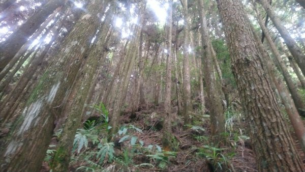 20221015大塔山祝山小笠原山二萬平山1880676