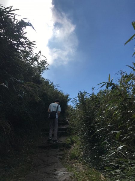 七星山攻頂577489