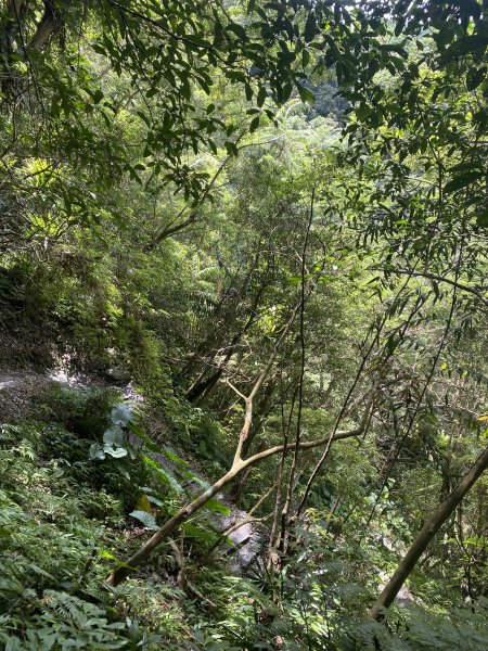 三角崙山及抹茶山3065482