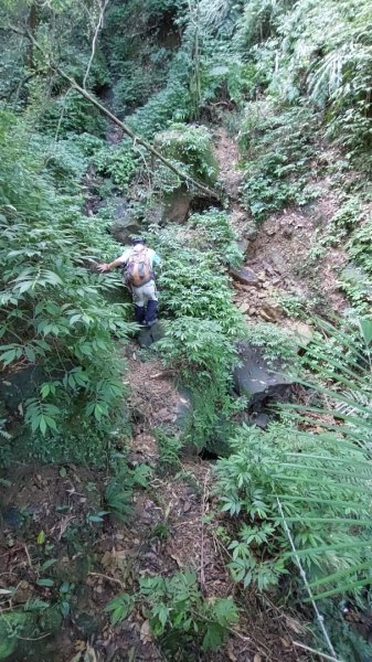 蛇來運轉之蛇年爬蛇山  蛇子形古道-三爪子坑山-蛇子崙山O型2784023