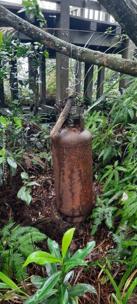 《苗栗》霧雨寒流｜三義三角山步道202512252969251