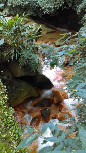 溪水潺涓的半嶺水圳步道、硫氣氤氳的龍鳳谷890855
