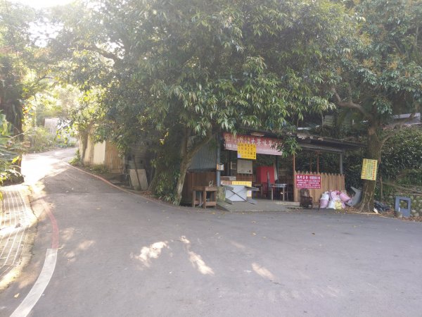 貓空隨意行［樟湖步道、待老坑山、杏花林、明德宮、樟山寺］及政大小坑溪親水文學步道(2021/4/6)1417889