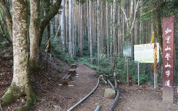 中級山--加里山的教誨