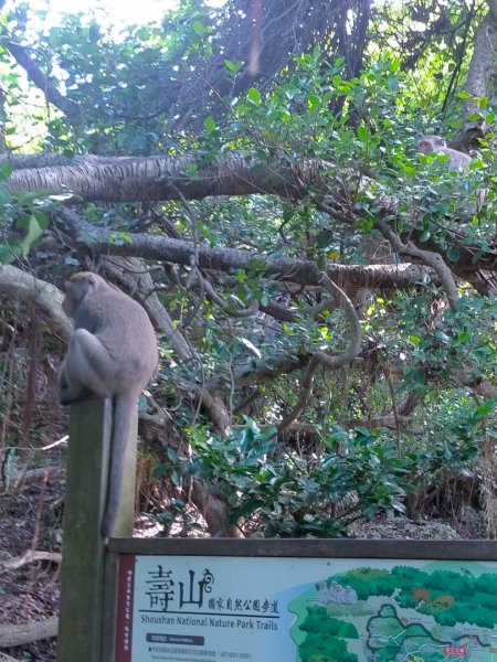 柴山/半屏山2858140