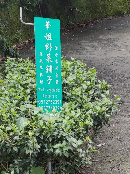 太興飛瀑步道(阿葉溪瀑布)983462