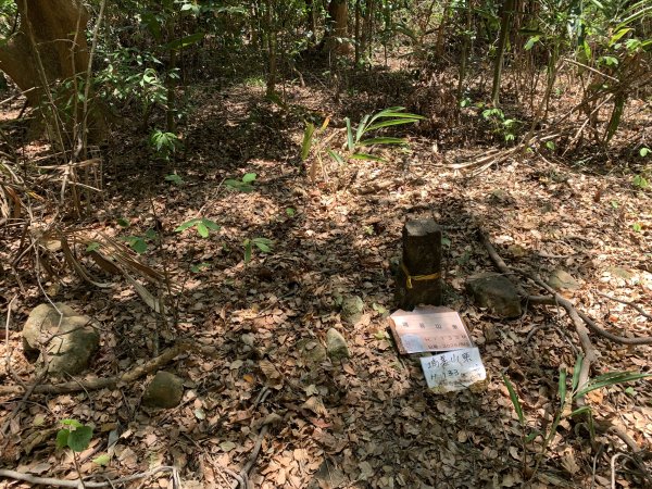 20250503屏東埔姜山東2781519