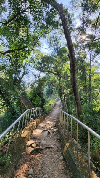 【田中】田中森林步道連走麒麟山2722577