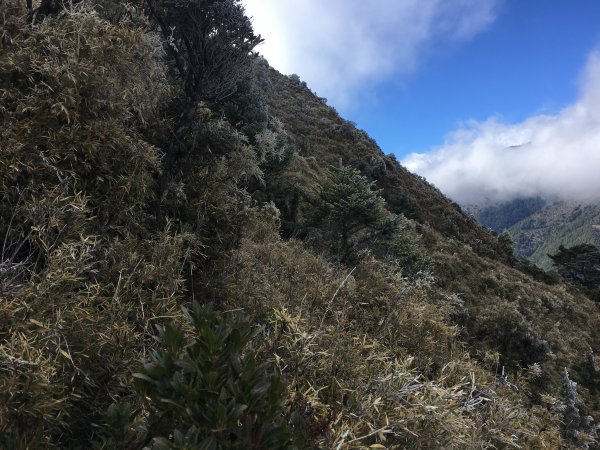 八通關山、八通關山西峰、秀姑巒山526150