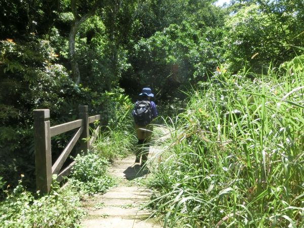 土庫岳．栳寮古道．更寮古道120816