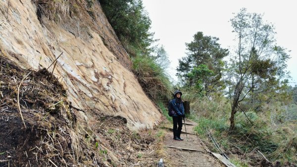 神阿縱走~台灣難抵極~大塔山2971493