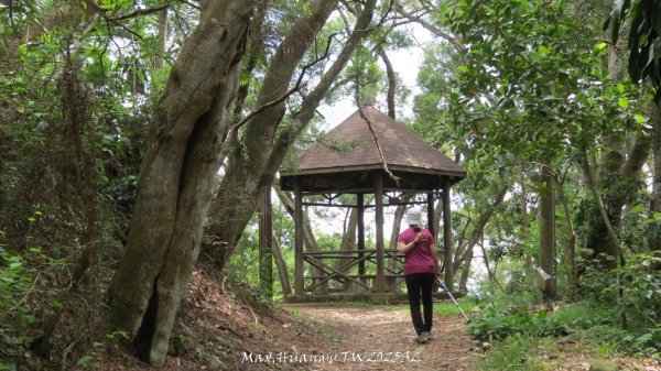 《彰化》稜線雙龍｜田中森林登山步道O型202506292824362