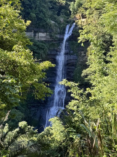 竹坑溪步道 202506282827143