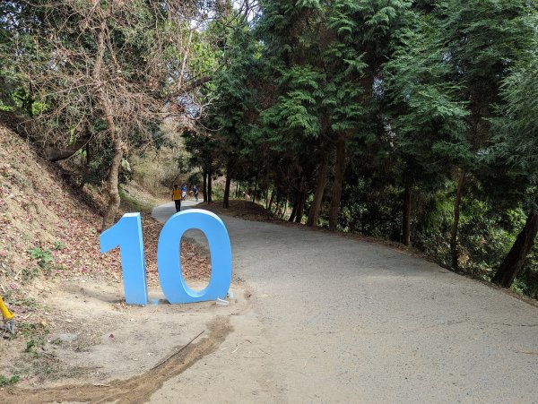 2023-02-04 大坑9、10號步道2792385