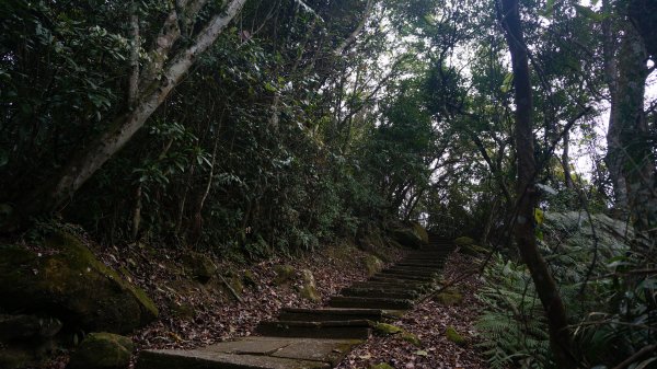 溪洲山 新溪洲山 石門水庫連走1304251