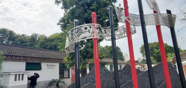 2024-01-28九九峰森林步道2412637