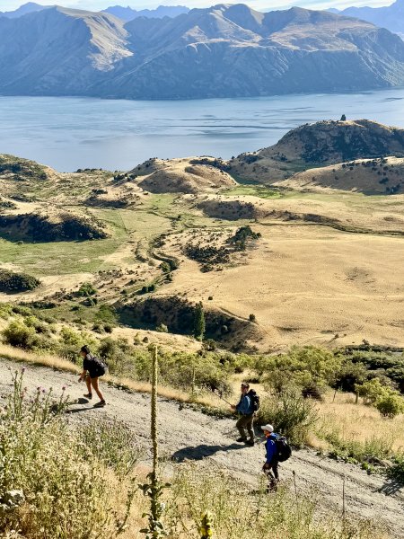 紐西蘭之旅-羅伊峰（Roy Peak ）Hiking 2025.1.282709651