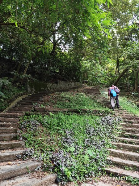 圓覺寺步道→新福本坑→碧湖步道→碧山公園→國立臺灣戲曲學院→碧湖公園→大港墘公園【臺北健走趣】2849263