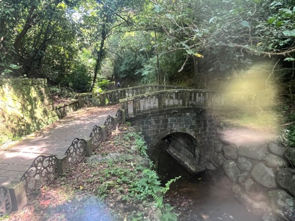 虎山行3091445