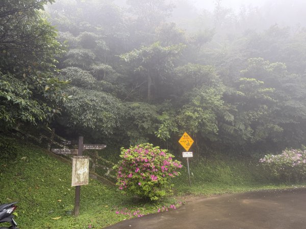 [微笑山線_第八段] 2026_0321 二格山系_二格山3020916