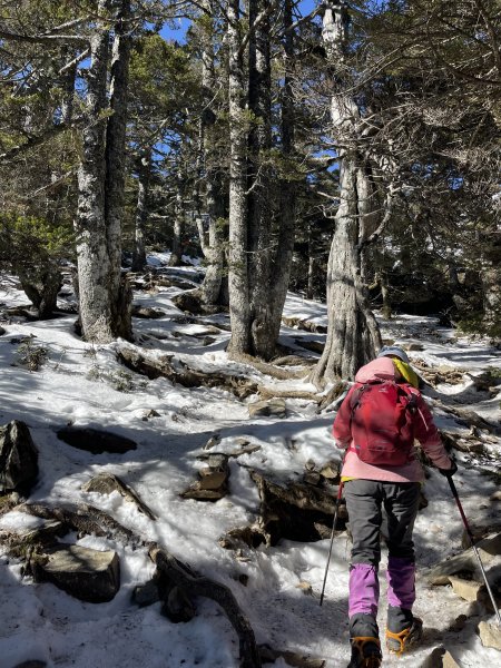 雪山圈谷 除夕 賞雪玩冰 2022/01/311604789