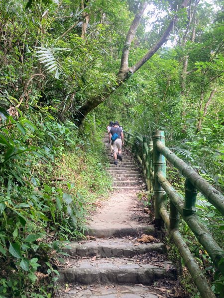 獨立山國家步道2615848