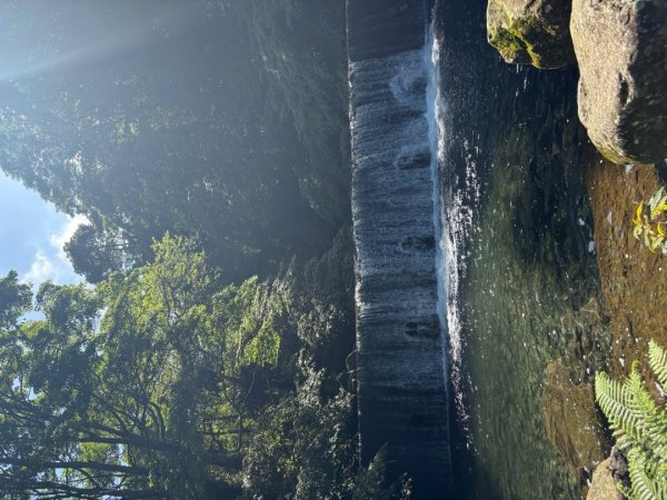 戲水（鴛鴦2786658