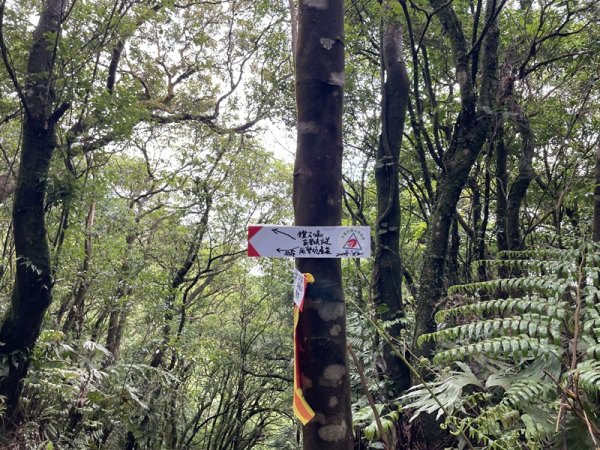 司公髻尾山2802975