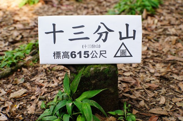 桃園-三峽 十三分山、金面山、金山面山、山麻坑山、茄苳坑山、阿屘尖3049238