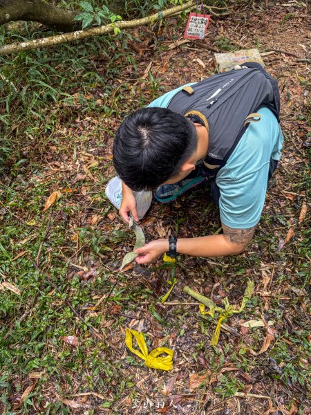 水沙漣古道｜二坪山2979979