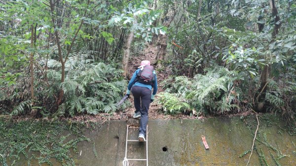 飛沙縱走33連峰2025年4月13日2760314