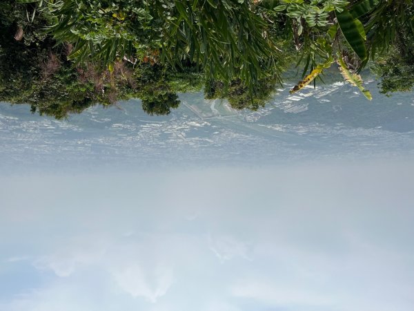 20230503__三汀山+阿罩霧山（台中小百岳）2762350