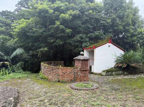 [樟之細路_第二大段RSA23] 2026_0823 茶亭古道3121942