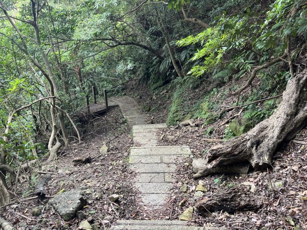 [微笑山線_第九段] 2025_0914 二格山系_皇帝殿西峰2889782