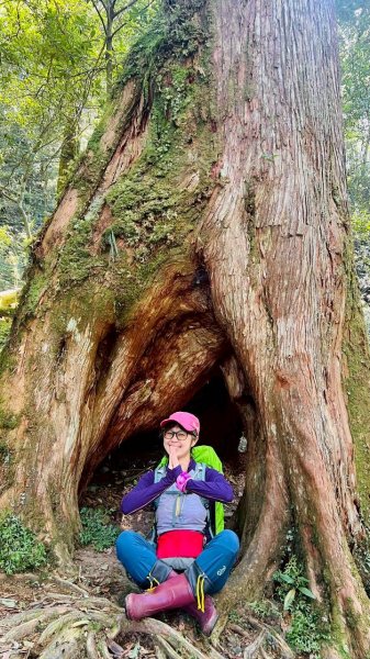 🌈3/14（六）赫威神木群+赫威山✨FB：熊熊趴爬走🌈3015390