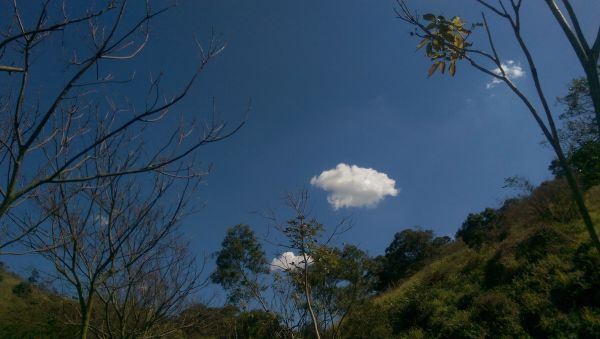 竹坑南寮登山步道283807