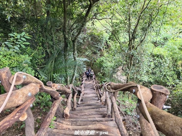 【台中北屯】大坑1號步道3095061