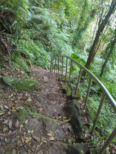 2026.03.08－微笑山線：【二格山系】銀河洞越嶺段&貓空纜車3014656