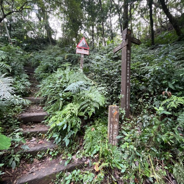 20251108_石壁山（雲林小百岳）2941462