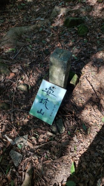 安坑五山縱走2784629