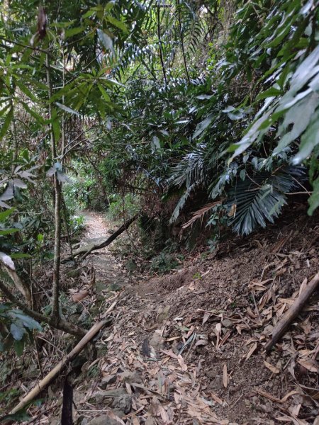 2023.11.30 九份二山2677681