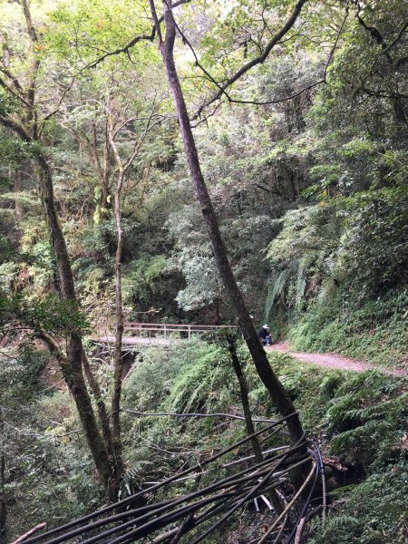 20161109-10_奇萊南華873687