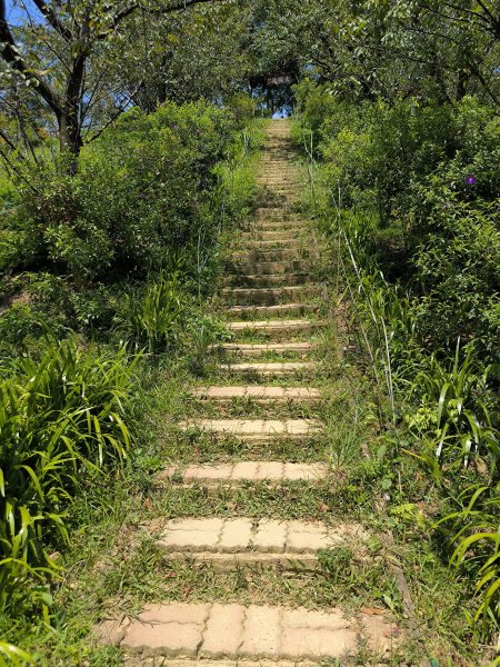 20250830天上山、旺旺嶺、太極嶺2874080