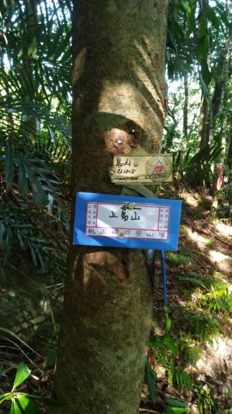 上島山1040014