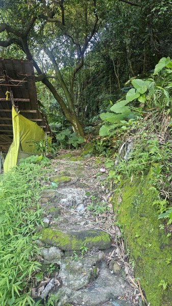 20250925柑子坑山動01-動04-市929-市582894932